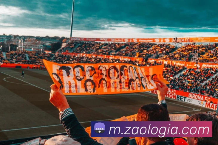乐鱼手机在线登录入口平台生态图